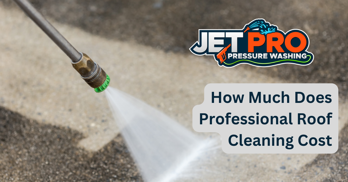 How Much Does Professional Roof Cleaning Cost