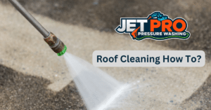 Roof Cleaning How To